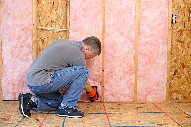 Best Attic Insulation Installation  in Sumner, IL